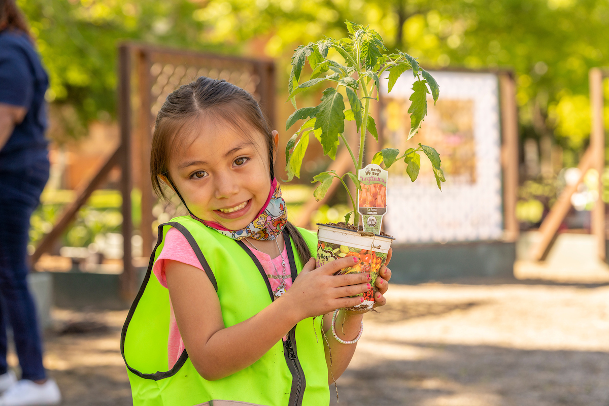 Partner Spotlight: Hardy Boy Plants and Designscapes Colorado